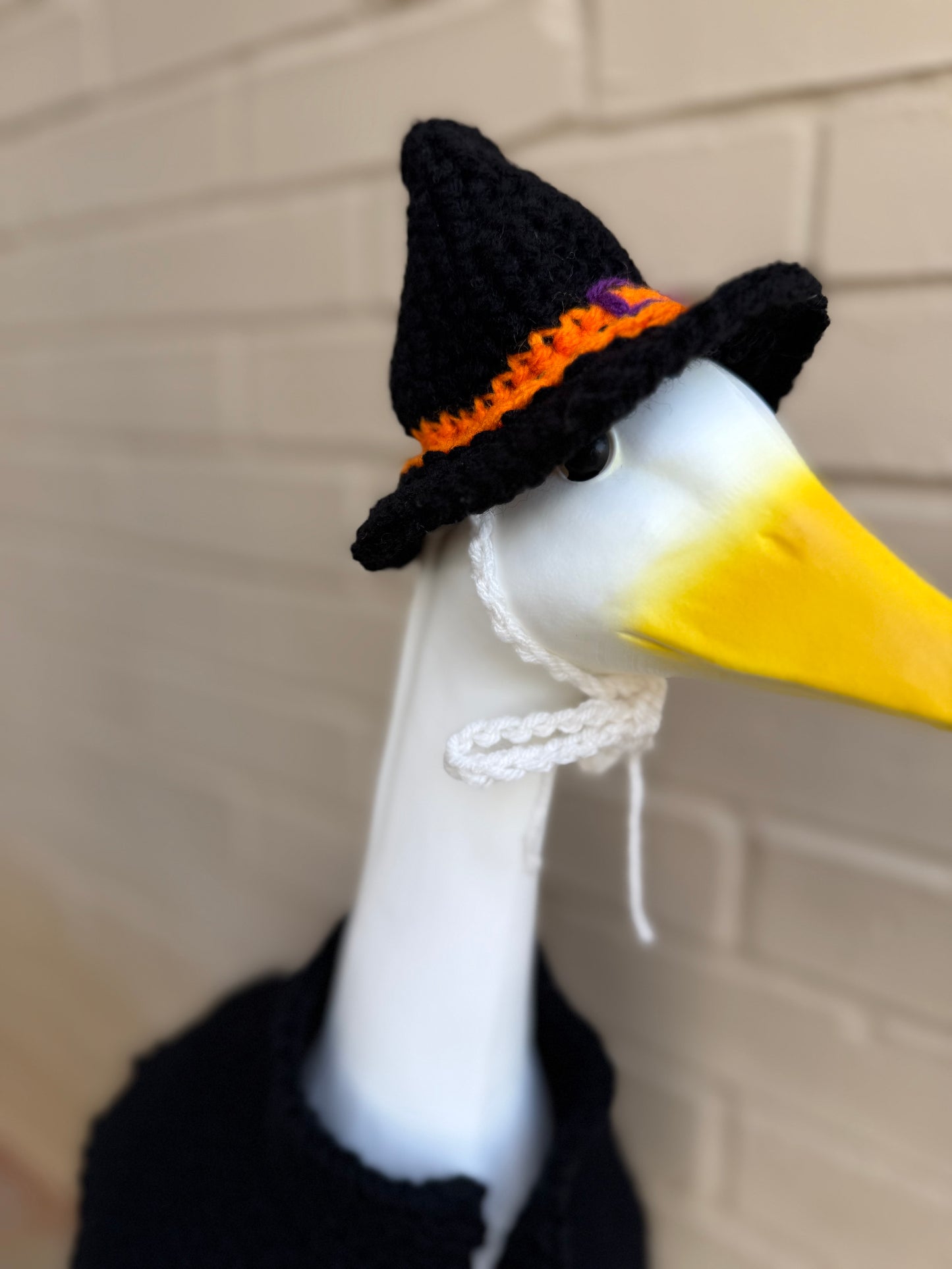 Front Porch Goose Witch Outfit - Crochet Halloween Clothing - Witch Hat and Cape Yard Art