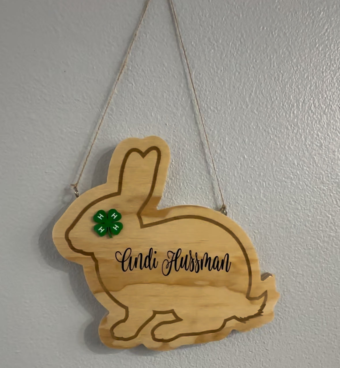 Show Rabbits Stall Sign - Bunny - Nameplate - Stall Sign - Custom - Wooden - Engraved - Rodeo - 4H