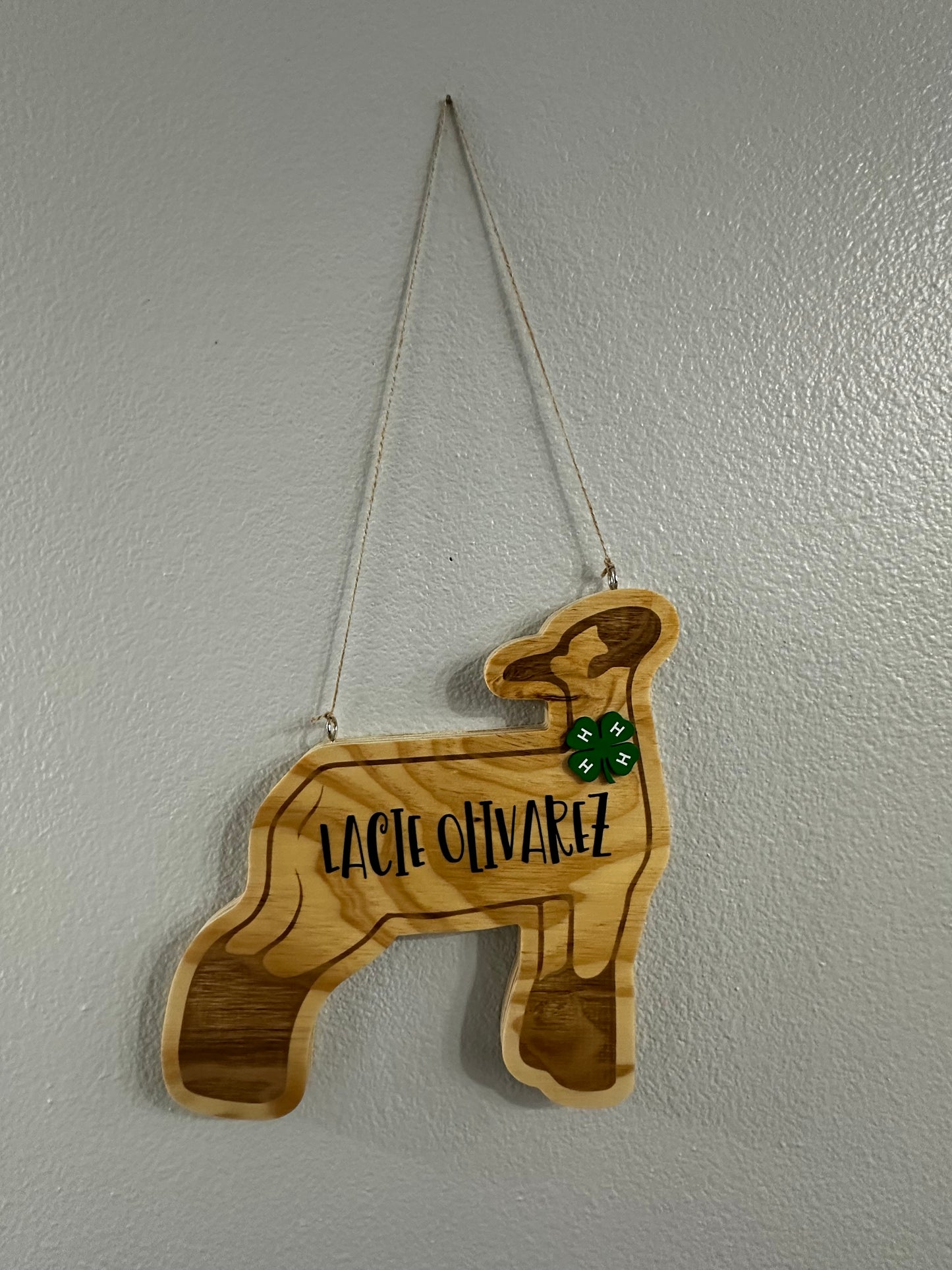 Show Sheep Stall Sign - Nameplate - Stall Sign - Custom - Wooden - Engraved - Rodeo- 4H - Market